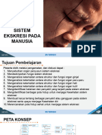 Bab 10 Sistem Ekskresi Pada Manusia