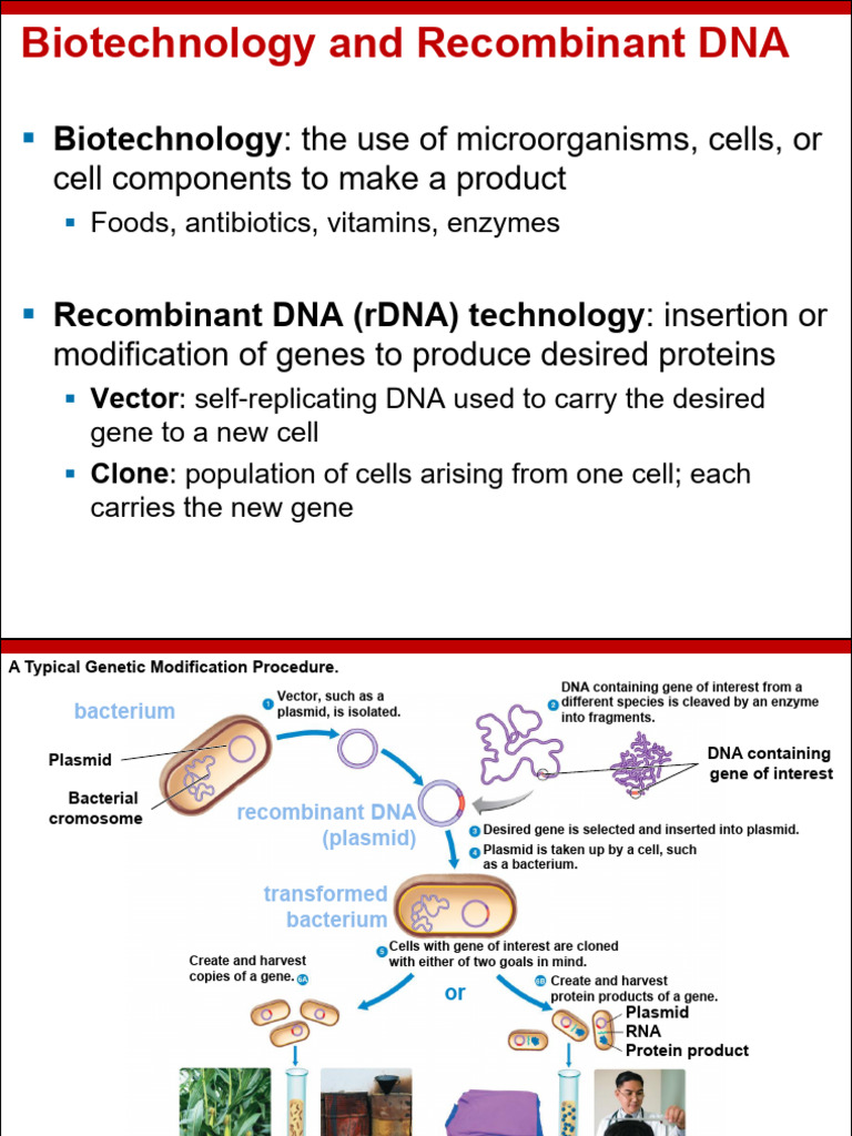 Biotechnology and Recombinant DNA Overview | PDF | Molecular Cloning | Dna