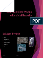 Zaštićene Biljke I Životinje U Republići Hrvatškoj