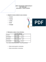 Roteiro de Aula Prática Cinesiologia Coluna Vertebral