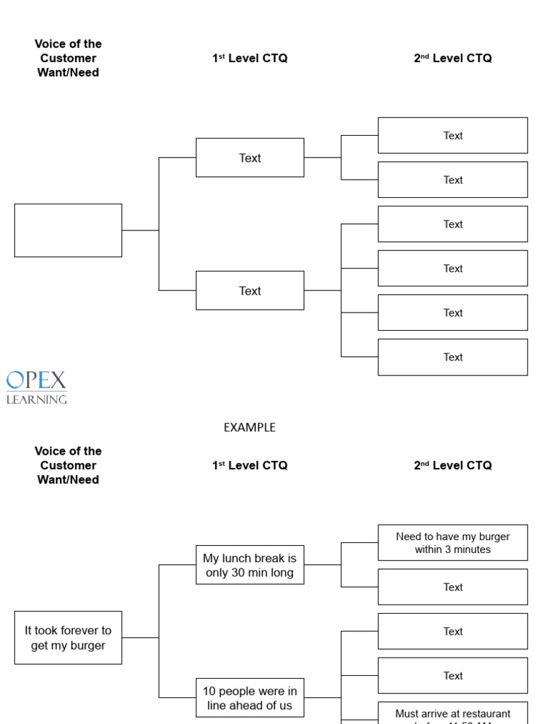 Critical To Quality Tree Template Download OpEx 2020 | PDF