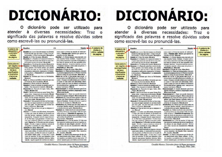 uso do dicionário páginaexplicativa | PDF