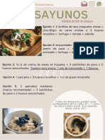 PLAN DE ALIMENTACiON