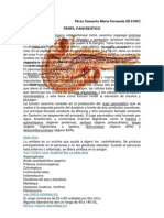 Perfil Pancretaico