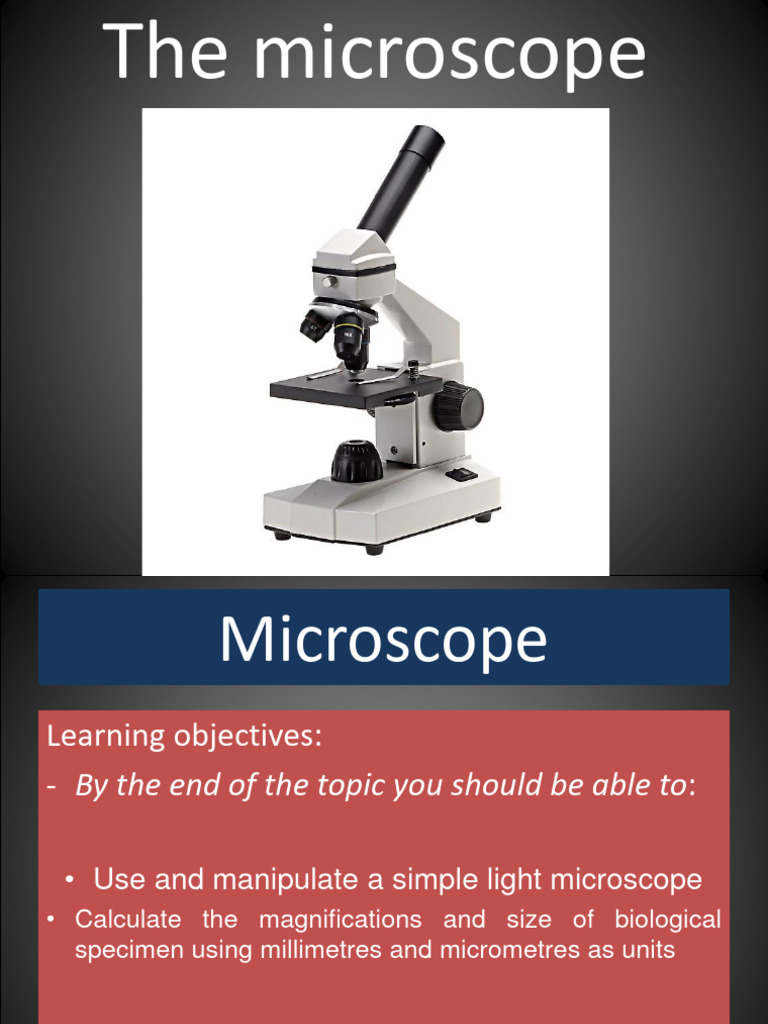 Mastering Light Microscope Techniques | PDF | Microscope ...