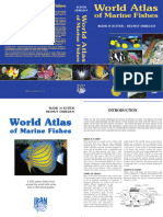 Kuiter - Debelius - 2006 WorldAtlasOfMarineFishes CD1s