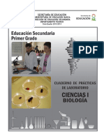 4 Folleto Laboratorio