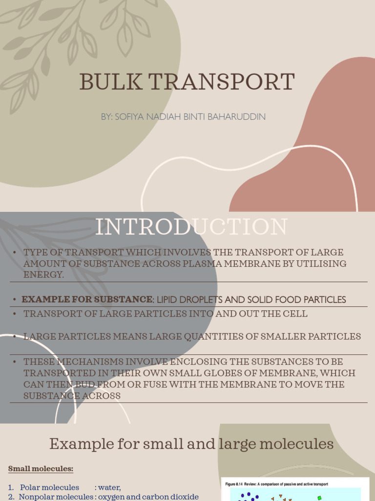 Bulk Transport Download Free Pdf Cell Membrane Vacuole