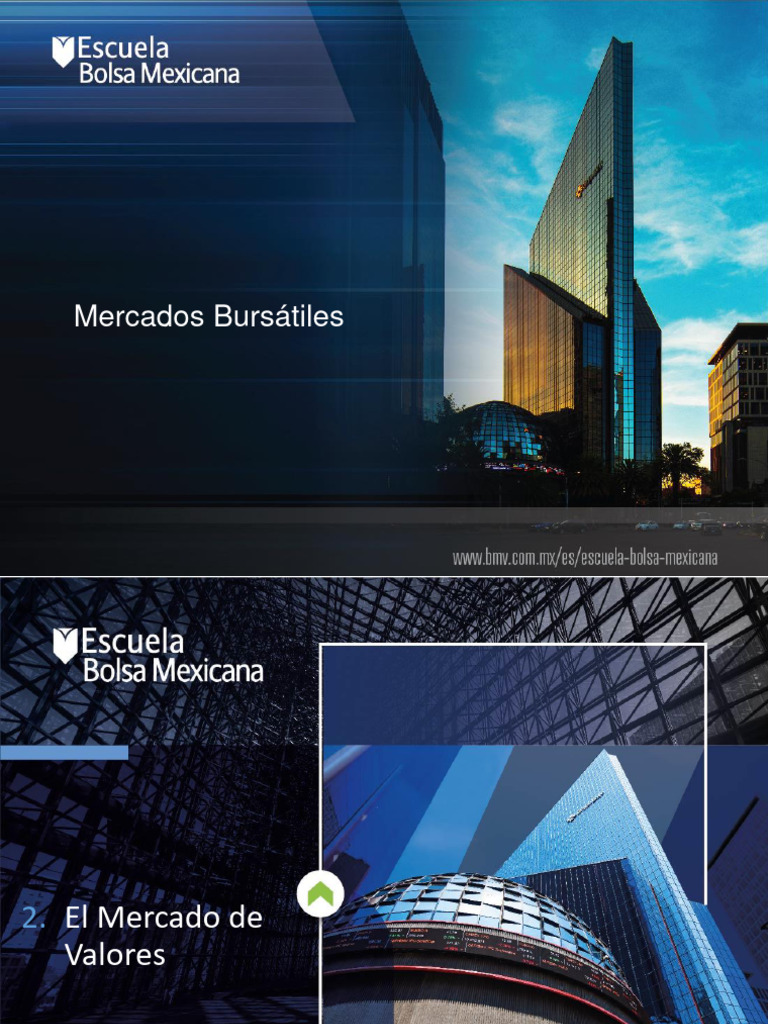 Guía Completa del Mercado de Valores | PDF | Bolsa de Valores | Bolsa