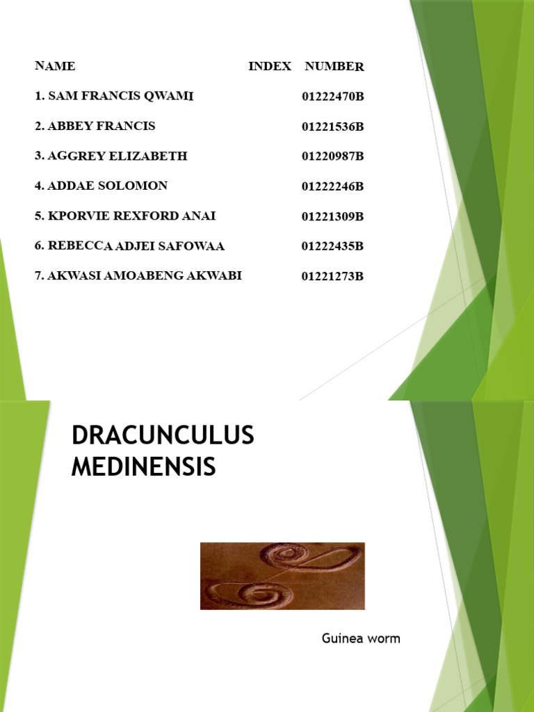 GROUP 3 (A) D.medinensis | PDF | Medical Specialties | Diseases And ...