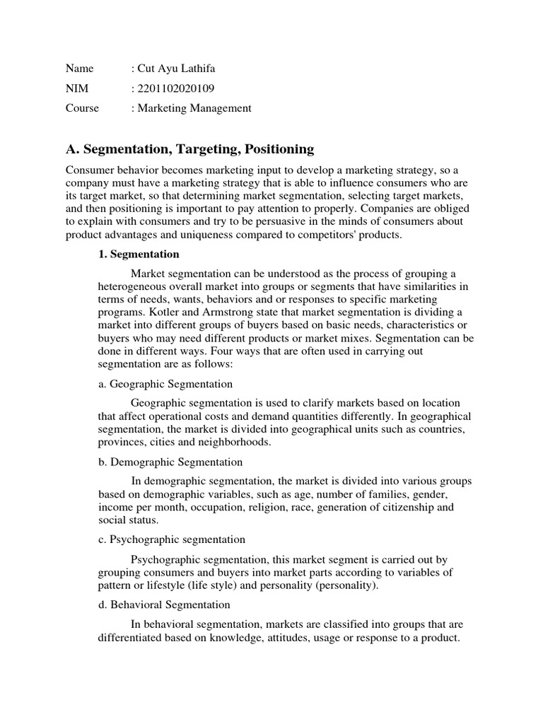 Marketing Strategy: Segmentation & Positioning | PDF | Market ...