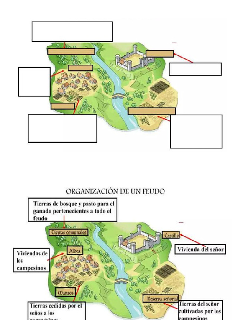 partes de feudo | PDF