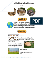 The World's Most Relaxed Rodents Lesson B1 B2 English For Kids Teens