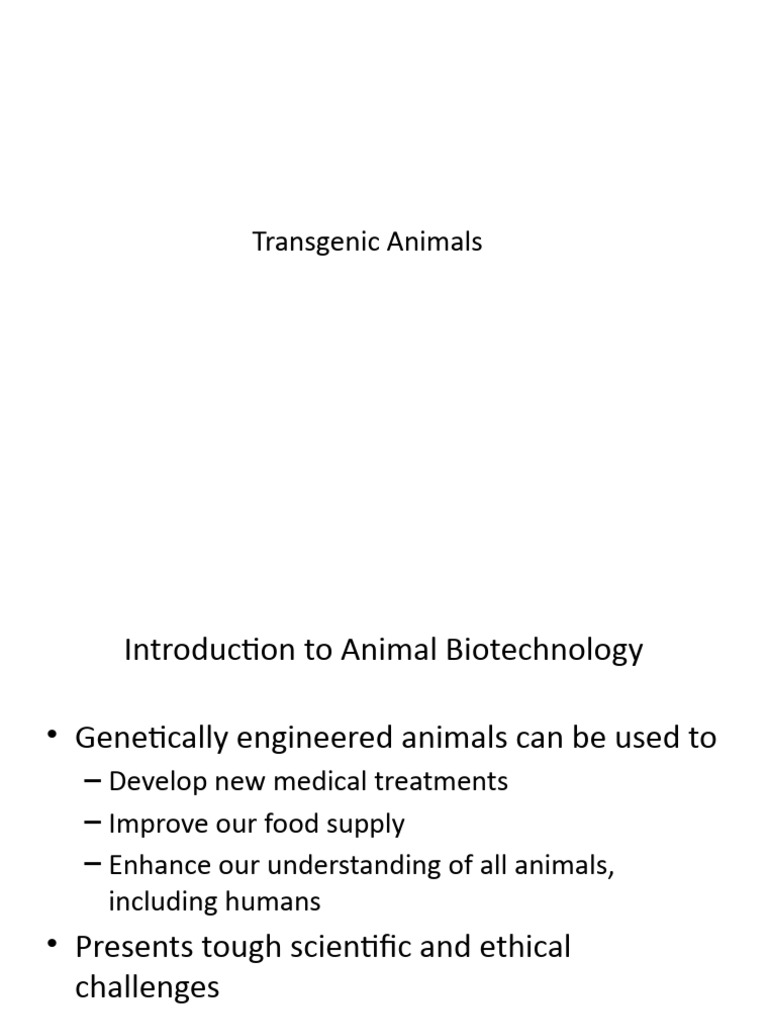 Transgenic Animal | PDF | Cloning | Transgene