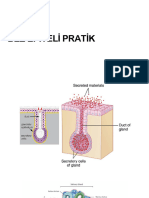 1) Bez Epiteli Pratik