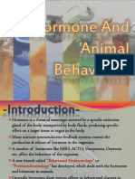 Hormone and Animal Behaviours