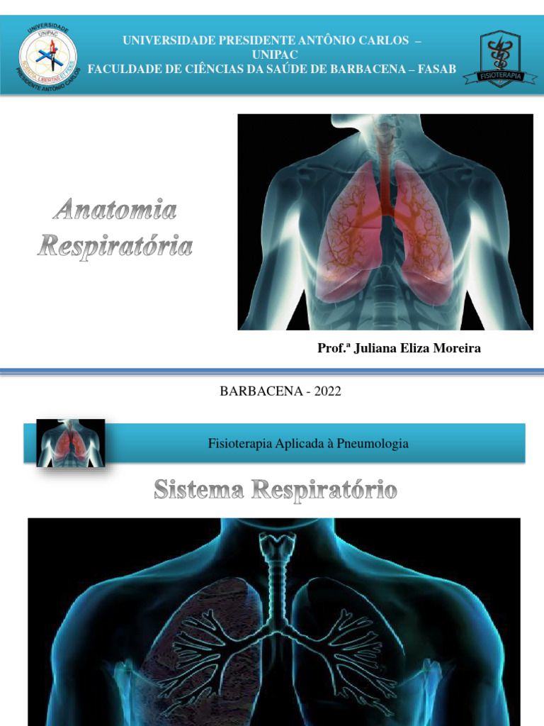 Anatomia Do Sistema Respiratório Pdf Pulmão Sistema Respiratório