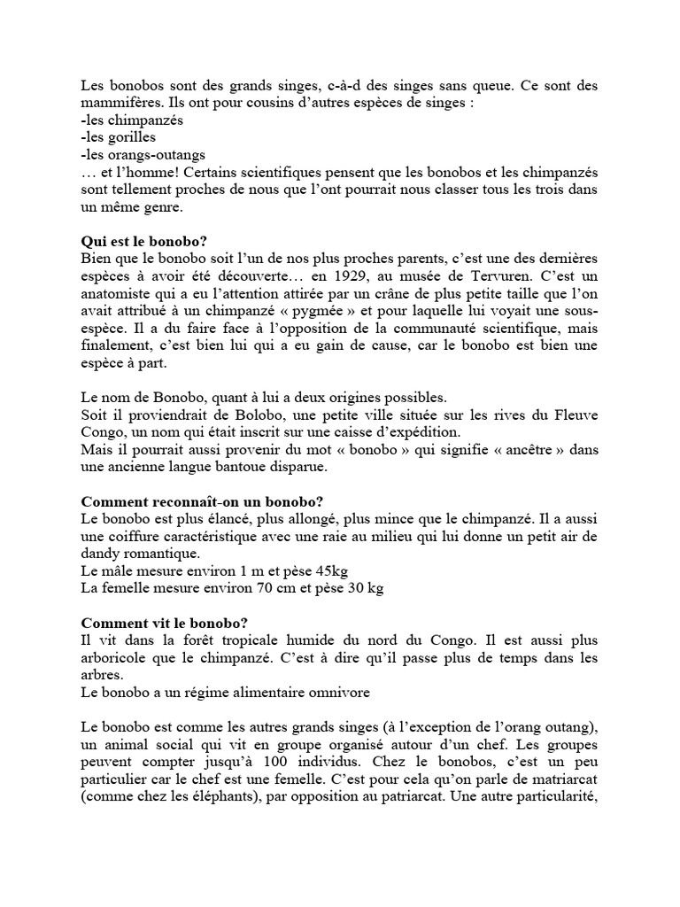 Bonobos : Grands singes en danger | PDF | Hominoidea | Catarrhini