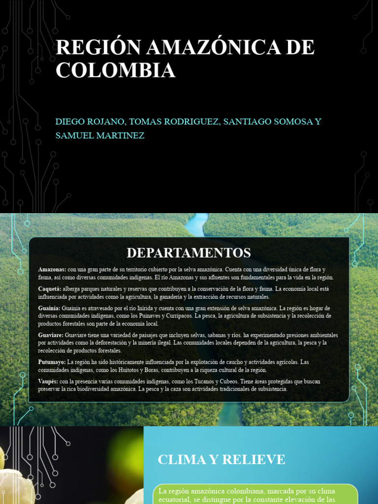 Región Amazónica de Colombia Estudios Colombianos | PDF | Selva ...