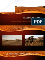 0 Relieful Desertic