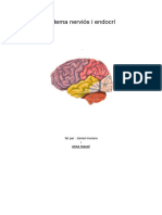 Sistema Nerviós I Endocrí