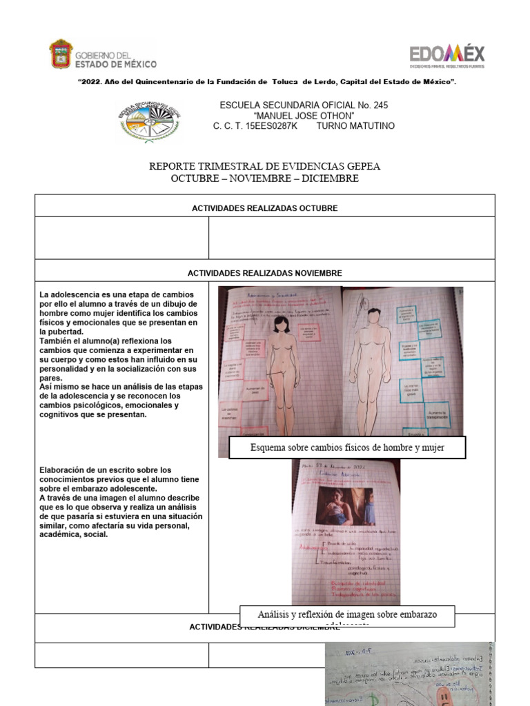 Informe Gepea Octnovdic | PDF | Adolescencia | Control de la natalidad