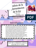 Analisis de La Reglamentacion (1)