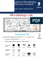 Week 2B - Bright Field Micros