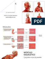 HISTOLOGIA Sistema_Muscular.pdf