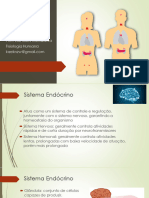 HISTOLOGIA Sistema Endocrino PDF