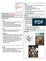 Galpon de Crianza de Cuyes PDF
