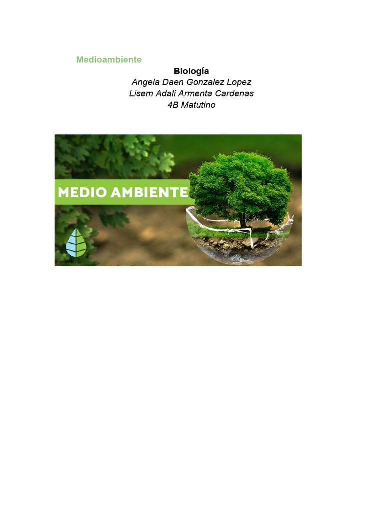 Importancia y cuidado del medioambiente | PDF | Entorno natural | Residuos
