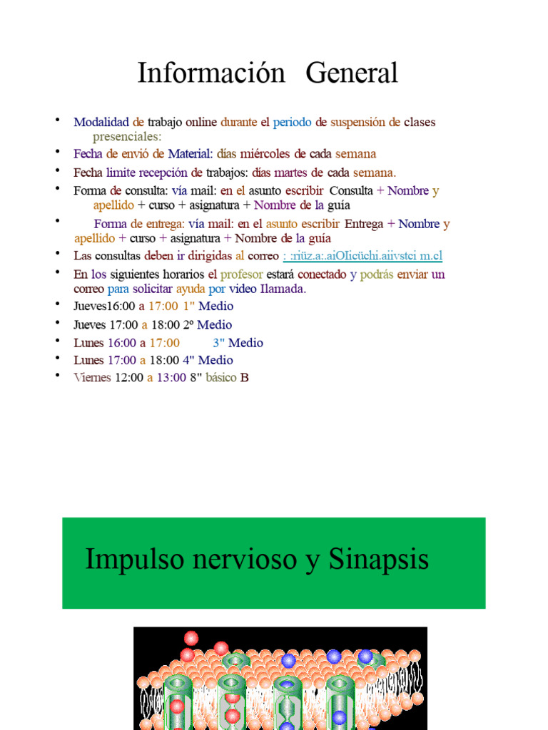 2° MEDIO BIOLOGÍA PPT 2 Impulso Nervioso 06 de Mayo | PDF | Potencial ...