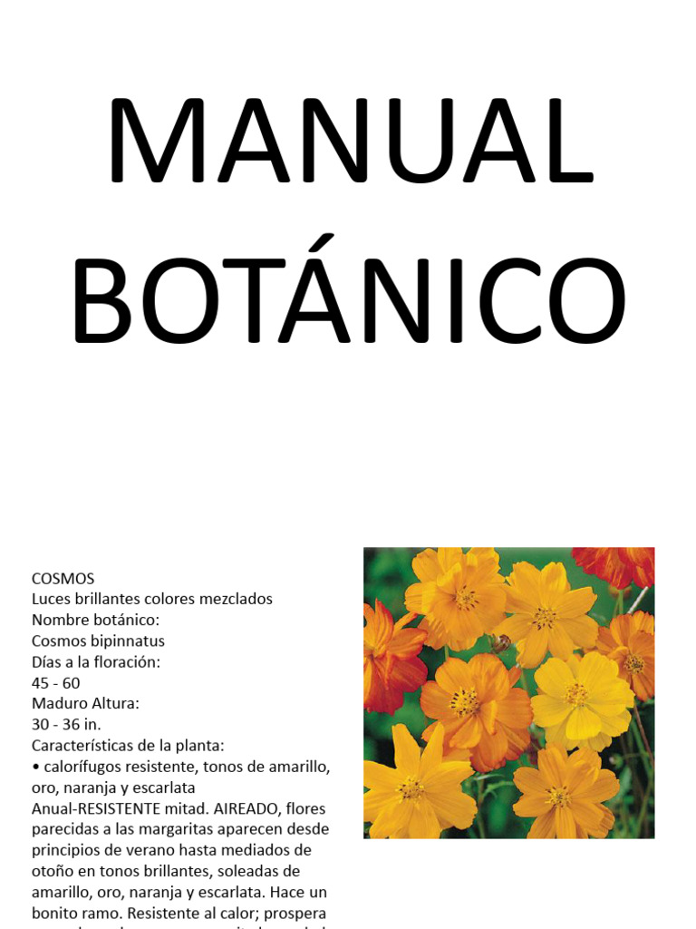Manual Botánico | PDF | Arte | Ciencia y matemáticas