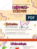 Neurocisticercosis