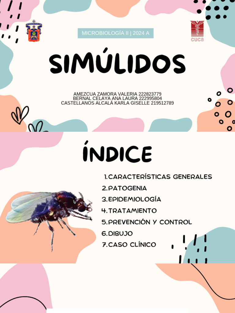 Simulidos: Características y Patogenia | PDF | Especialidades Medicas ...