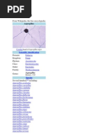 Download As Per Gill Us by NataliaTria SN73641675 doc pdf