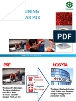 Basic First Aid - P3K