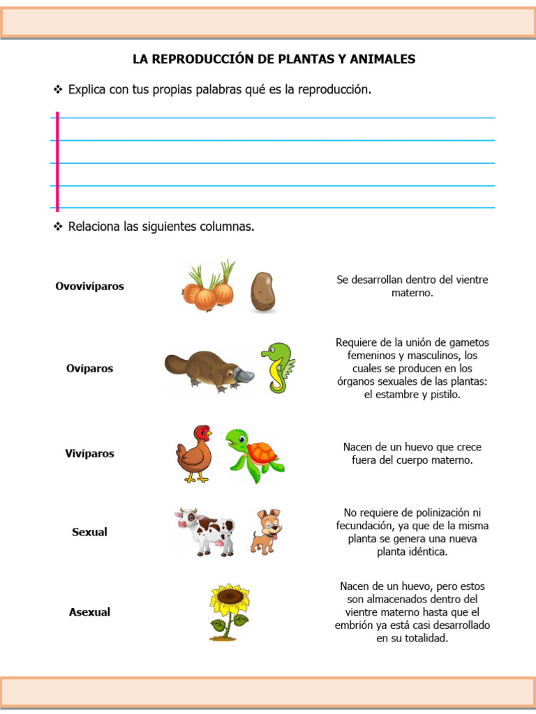 Reproducción de Plantas y Animales | PDF | Flores | Sexo