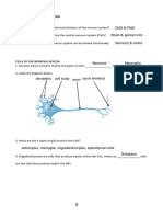 Neuro HN Tutorial Handout 2024