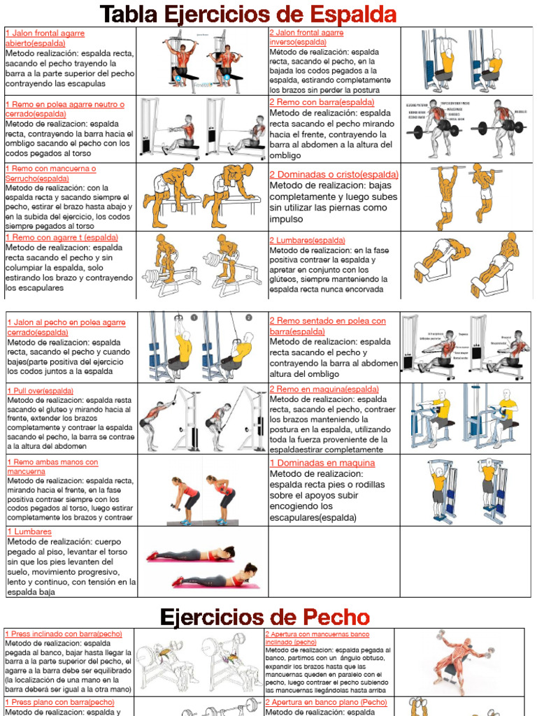 Tabla de Ejercicios para Espalda y Pecho | PDF | Entrenamiento con ...