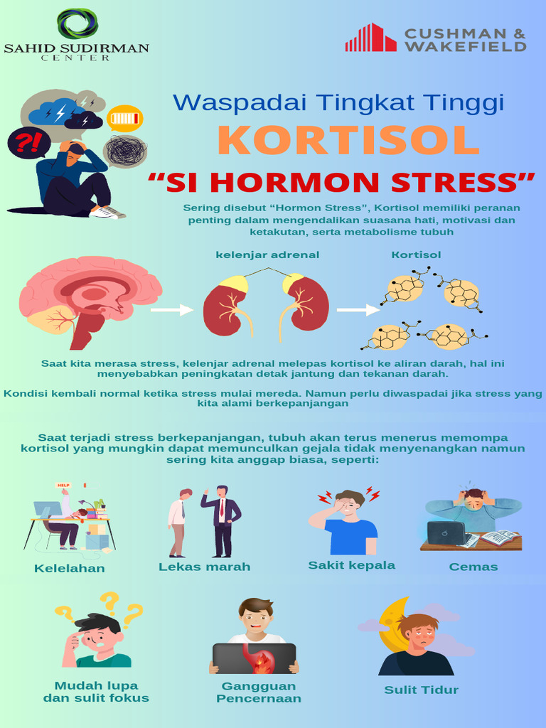 Kortisol Hormon Stress | PDF
