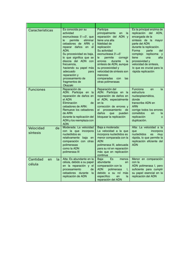 Polimerasas ADN del 1 al 3 | PDF | Replicación De Adn | Adn