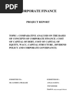Corporate Finance: Project Report