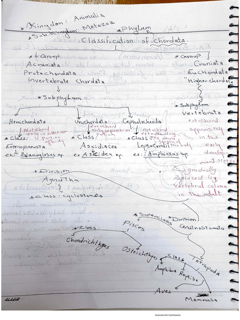 CHORDATES BOOK PDF DOWNLOAD intelligence overview