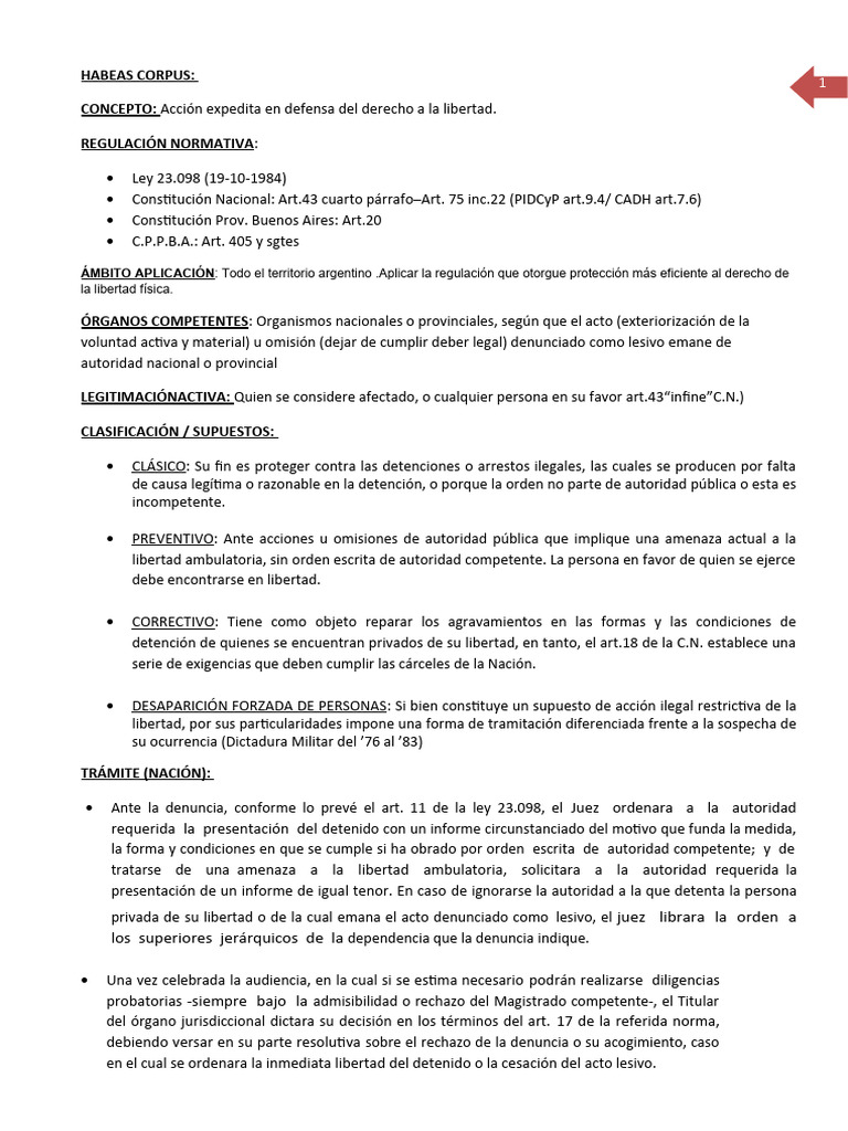 Proceso de Habeas Corpus en Argentina | PDF | Habeas corpus | Justicia