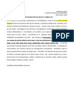 FORMATO DE INSPECCION  DE OBJETO 2