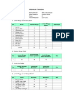 Program Tahunan