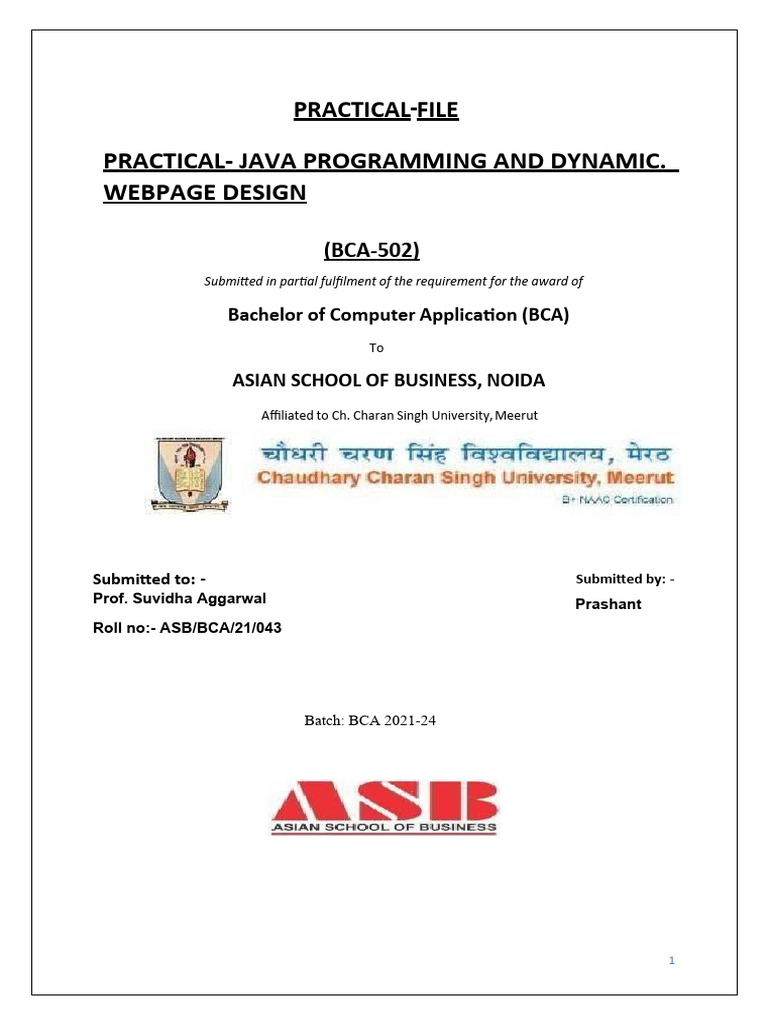 Java Practical File 062 | PDF | Java (Programming Language) | Computing
