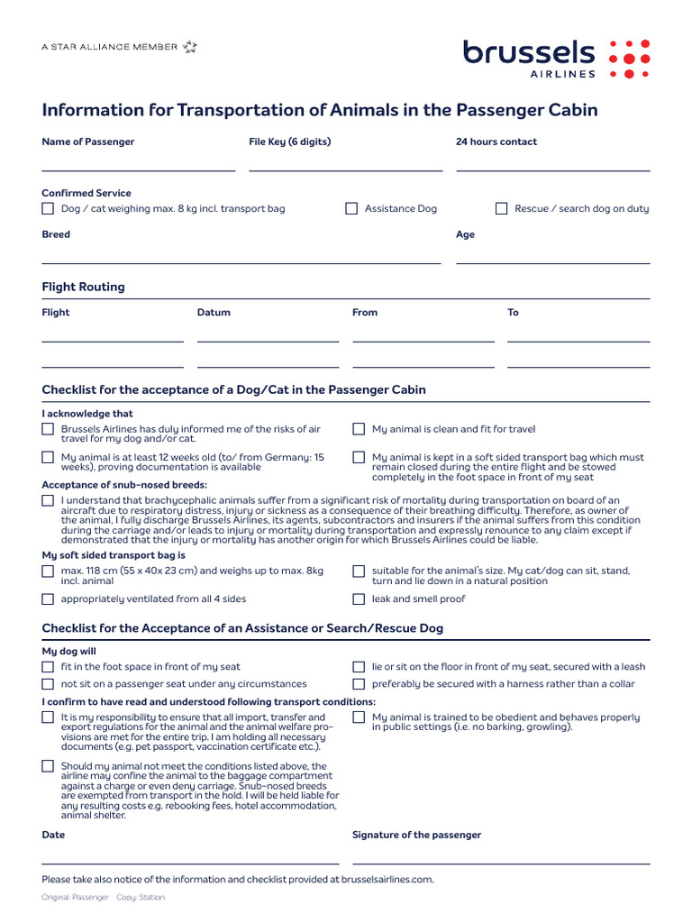 Pet Travel Guidelines for Brussels Airlines | PDF | Dogs | Animals And ...